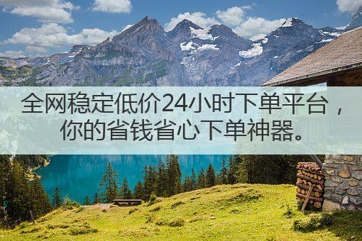 全网稳定低价24小时下单平台，你的省钱省心下单神器。