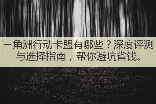 三角洲行动卡盟有哪些？深度评测与选择指南，帮你避坑省钱。