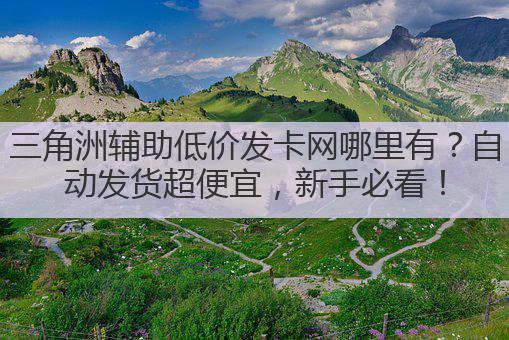 三角洲辅助低价发卡网哪里有？自动发货超便宜，新手必看！