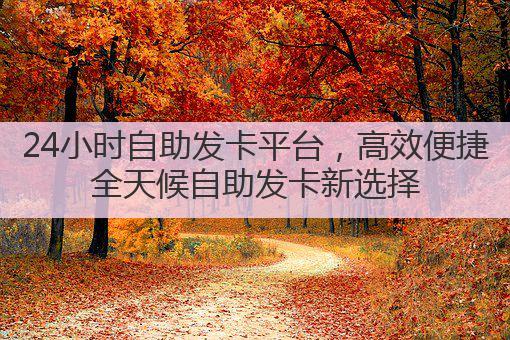 24小时自助发卡平台，高效便捷全天候自助发卡新选择