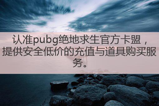 认准pubg绝地求生官方卡盟，提供安全低价的充值与道具购买服务。
