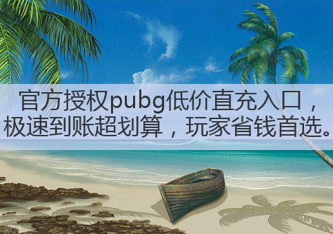 官方授权pubg低价直充入口，极速到账超划算，玩家省钱首选。