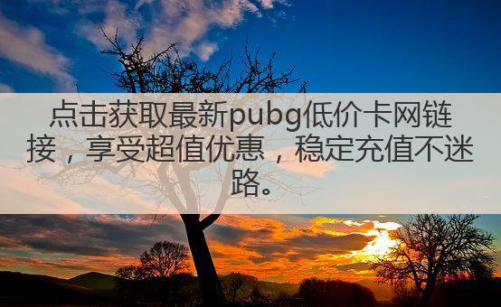 点击获取最新pubg低价卡网链接，享受超值优惠，稳定充值不迷路。