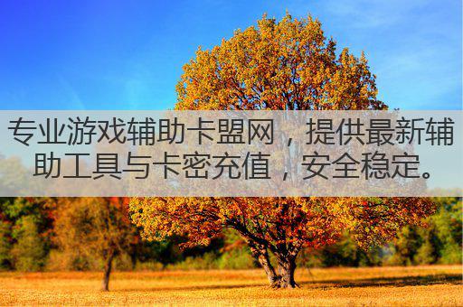 专业游戏辅助卡盟网，提供最新辅助工具与卡密充值，安全稳定。