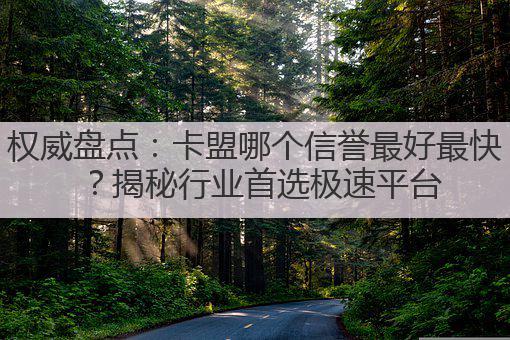 权威盘点：卡盟哪个信誉最好最快？揭秘行业首选极速平台