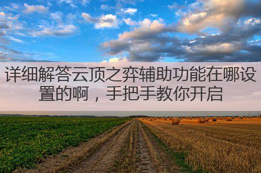 详细解答云顶之弈辅助功能在哪设置的啊，手把手教你开启