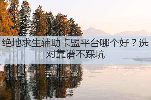 绝地求生辅助卡盟平台哪个好？选对靠谱不踩坑