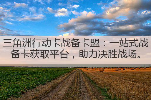 三角洲行动卡战备卡盟：一站式战备卡获取平台，助力决胜战场。