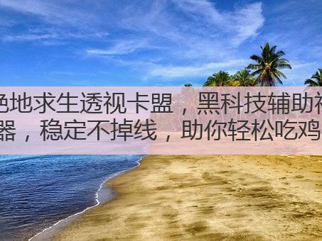 绝地求生透视卡盟，黑科技辅助神器，稳定不掉线，助你轻松吃鸡。