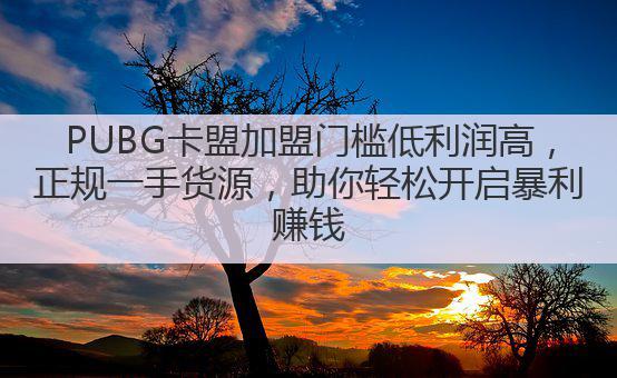 PUBG卡盟加盟门槛低利润高，正规一手货源，助你轻松开启暴利赚钱