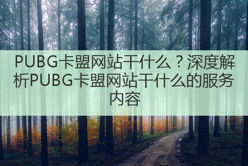 PUBG卡盟网站干什么？深度解析PUBG卡盟网站干什么的服务内容