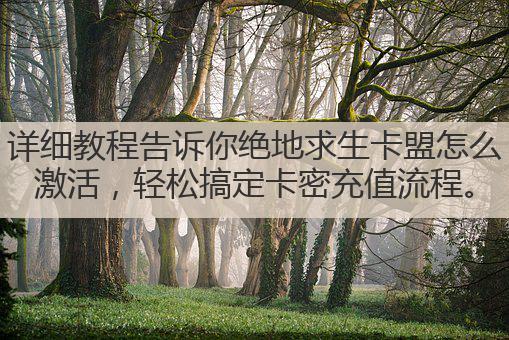 详细教程告诉你绝地求生卡盟怎么激活，轻松搞定卡密充值流程。
