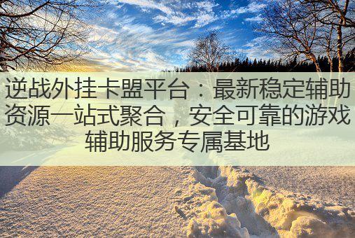 逆战外挂卡盟平台：最新稳定辅助资源一站式聚合，安全可靠的游戏辅助服务专属基地