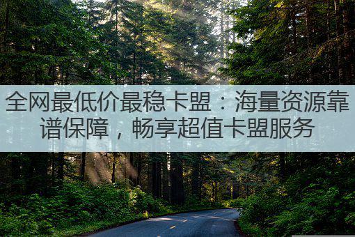 全网最低价最稳卡盟：海量资源靠谱保障，畅享超值卡盟服务
