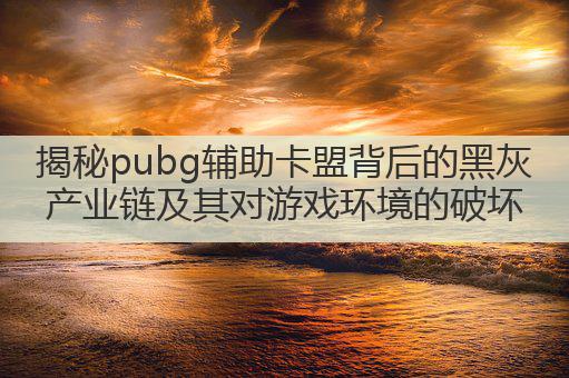 揭秘pubg辅助卡盟背后的黑灰产业链及其对游戏环境的破坏