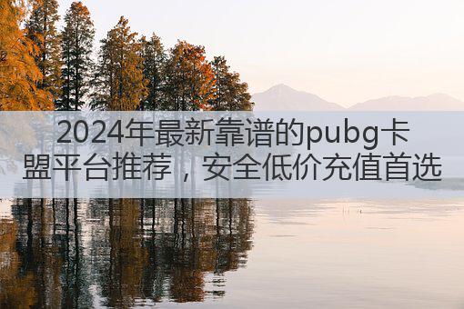 2024年最新靠谱的pubg卡盟平台推荐,安全低价充值首选
