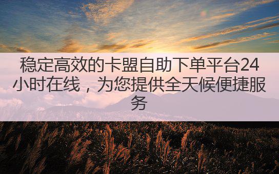 稳定高效的卡盟自助下单平台24小时在线，为您提供全天候便捷服务