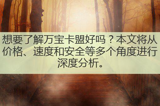 想要了解万宝卡盟好吗？本文将从价格、速度和安全等多个角度进行深度分析。