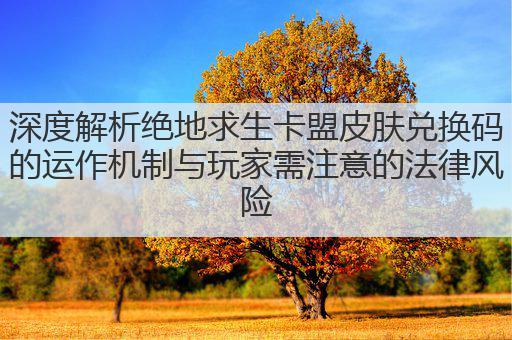 深度解析绝地求生卡盟皮肤兑换码的运作机制与玩家需注意的法律风险