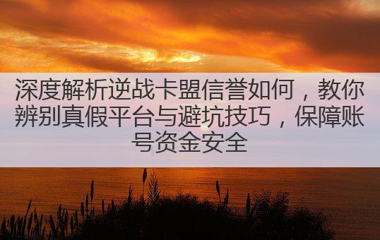 深度解析逆战卡盟信誉如何,教你辨别真假平台与避坑技巧,保障账号资金安全