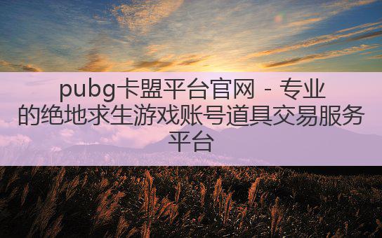 pubg卡盟平台官网 - 专业的绝地求生游戏账号道具交易服务平台