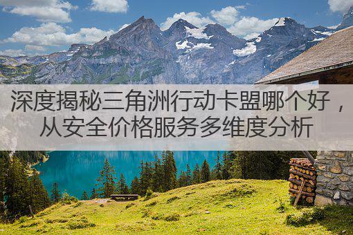 深度揭秘三角洲行动卡盟哪个好,从安全价格服务多维度分析