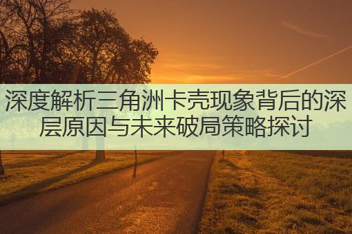 深度解析三角洲卡壳现象背后的深层原因与未来破局策略探讨