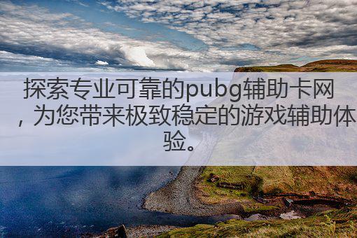 探索专业可靠的pubg辅助卡网，为您带来极致稳定的游戏辅助体验。