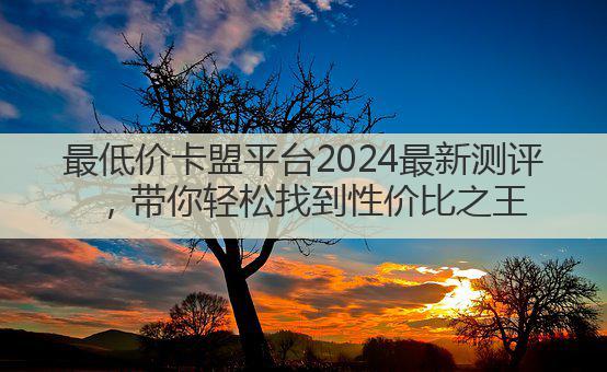 最低价卡盟平台2024最新测评,带你轻松找到性价比之王