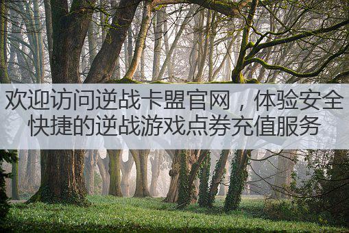 欢迎访问逆战卡盟官网,体验安全快捷的逆战游戏点券充值服务