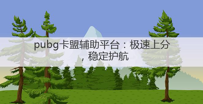 pubg卡盟辅助平台:极速上分,稳定护航