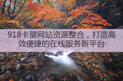 918卡盟网站资源整合，打造高效便捷的在线服务新平台