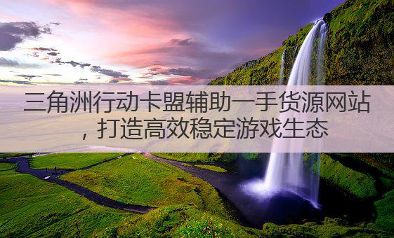 三角洲行动卡盟辅助一手货源网站,打造高效稳定游戏生态