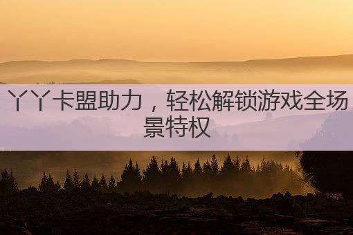 丫丫卡盟助力,轻松解锁游戏全场景特权