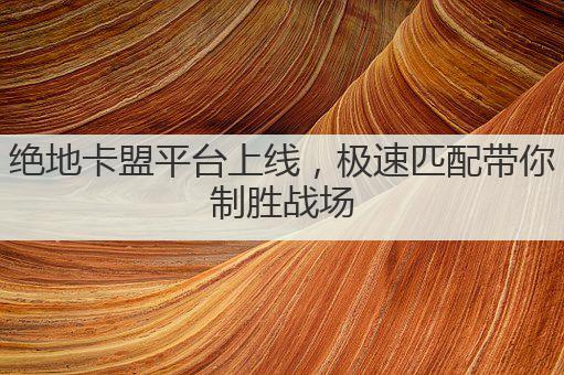 绝地卡盟平台上线,极速匹配带你制胜战场