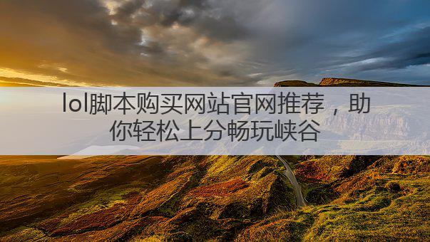 lol脚本购买网站官网推荐,助你轻松上分畅玩峡谷