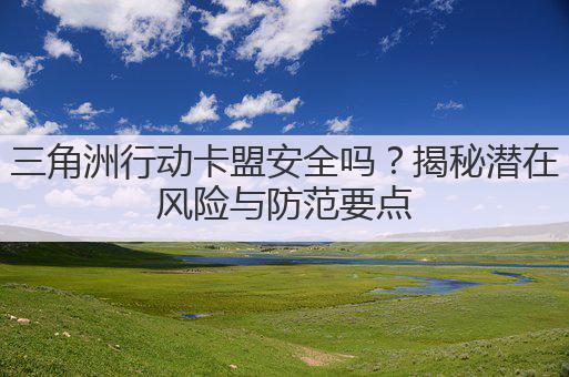 三角洲行动卡盟安全吗?揭秘潜在风险与防范要点