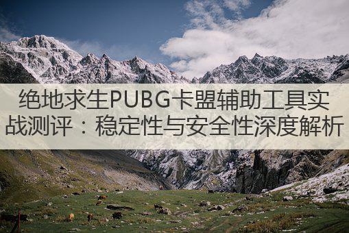 绝地求生PUBG卡盟辅助工具实战测评：稳定性与安全性深度解析