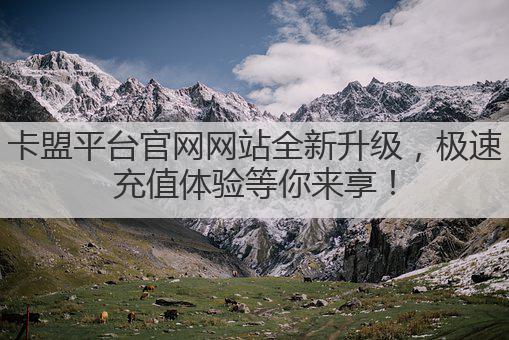 卡盟平台官网网站全新升级，极速充值体验等你来享！