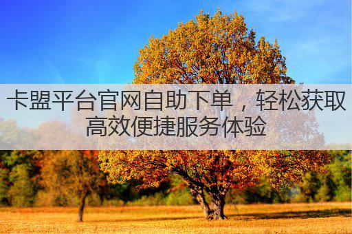 卡盟平台官网自助下单，轻松获取高效便捷服务体验