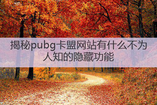 揭秘pubg卡盟网站有什么不为人知的隐藏功能