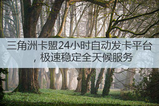 三角洲卡盟24小时自动发卡平台，极速稳定全天候服务