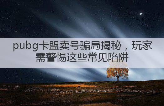 pubg卡盟卖号骗局揭秘,玩家需警惕这些常见陷阱