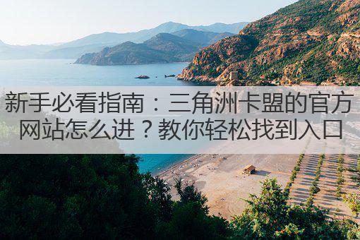 新手必看指南:三角洲卡盟的官方网站怎么进?教你轻松找到入口