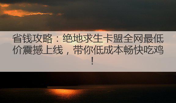省钱攻略:绝地求生卡盟全网最低价震撼上线,带你低成本畅快吃鸡!