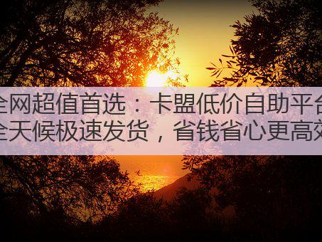 全网超值首选:卡盟低价自助平台全天候极速发货,省钱省心更高效