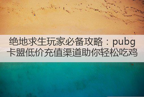 绝地求生玩家必备攻略:pubg卡盟低价充值渠道助你轻松吃鸡
