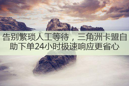 告别繁琐人工等待，三角洲卡盟自助下单24小时极速响应更省心