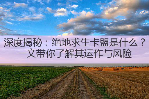 深度揭秘:绝地求生卡盟是什么?一文带你了解其运作与风险