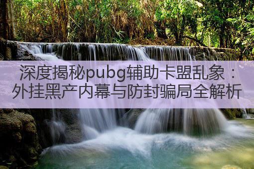 深度揭秘pubg辅助卡盟乱象:外挂黑产内幕与防封骗局全解析